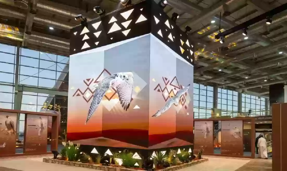 مهرجان الملك عبدالعزيز للصقور ينطلق بجوائز ضخمة