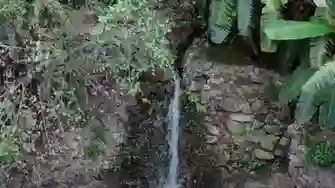 كهوف أبو مدافع 