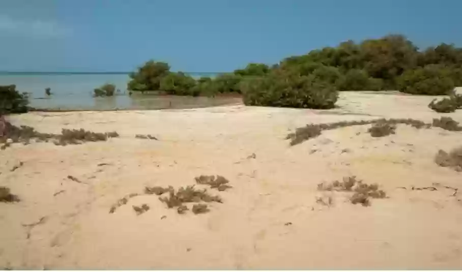 جزيرة فرسان