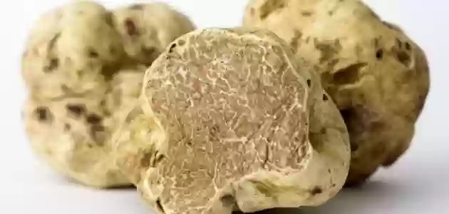 ماء الفقع للعين
