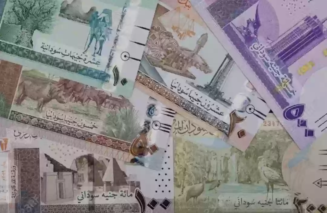 الجنيه السوداني 
