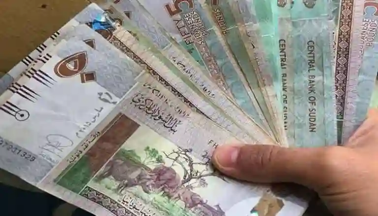 الجنيه السوداني