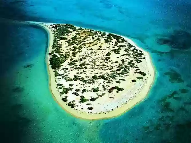الجزر السعودية