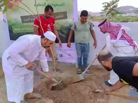 التشجير