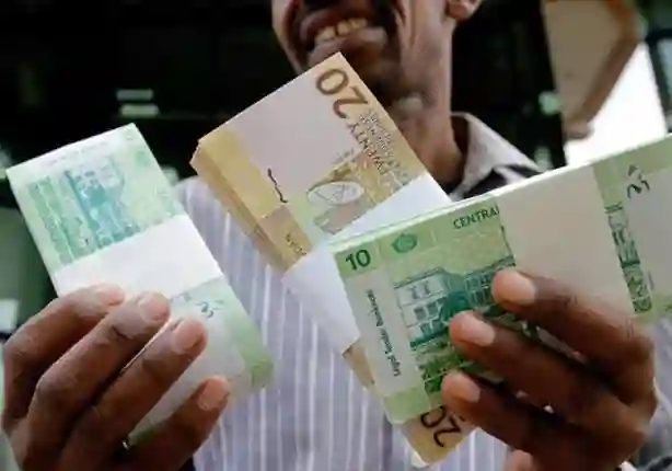 الجنيه السوداني 
