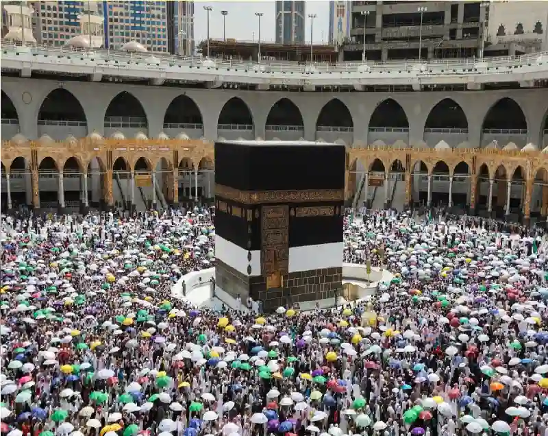 باقات حج 1446 عبر نسك والمسار الإلكتروني