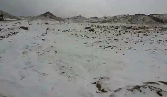 صحراء عرعر 