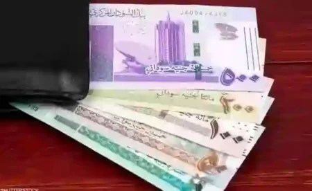 الجنيه السوداني 