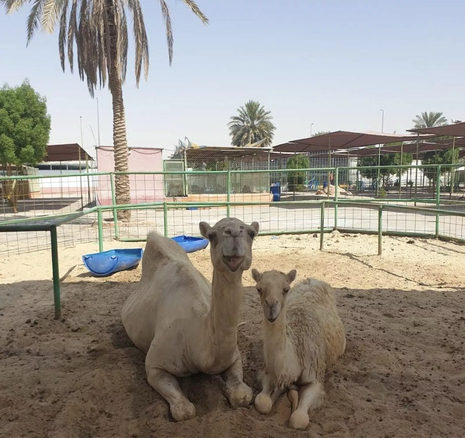 حدائق الحيوانات