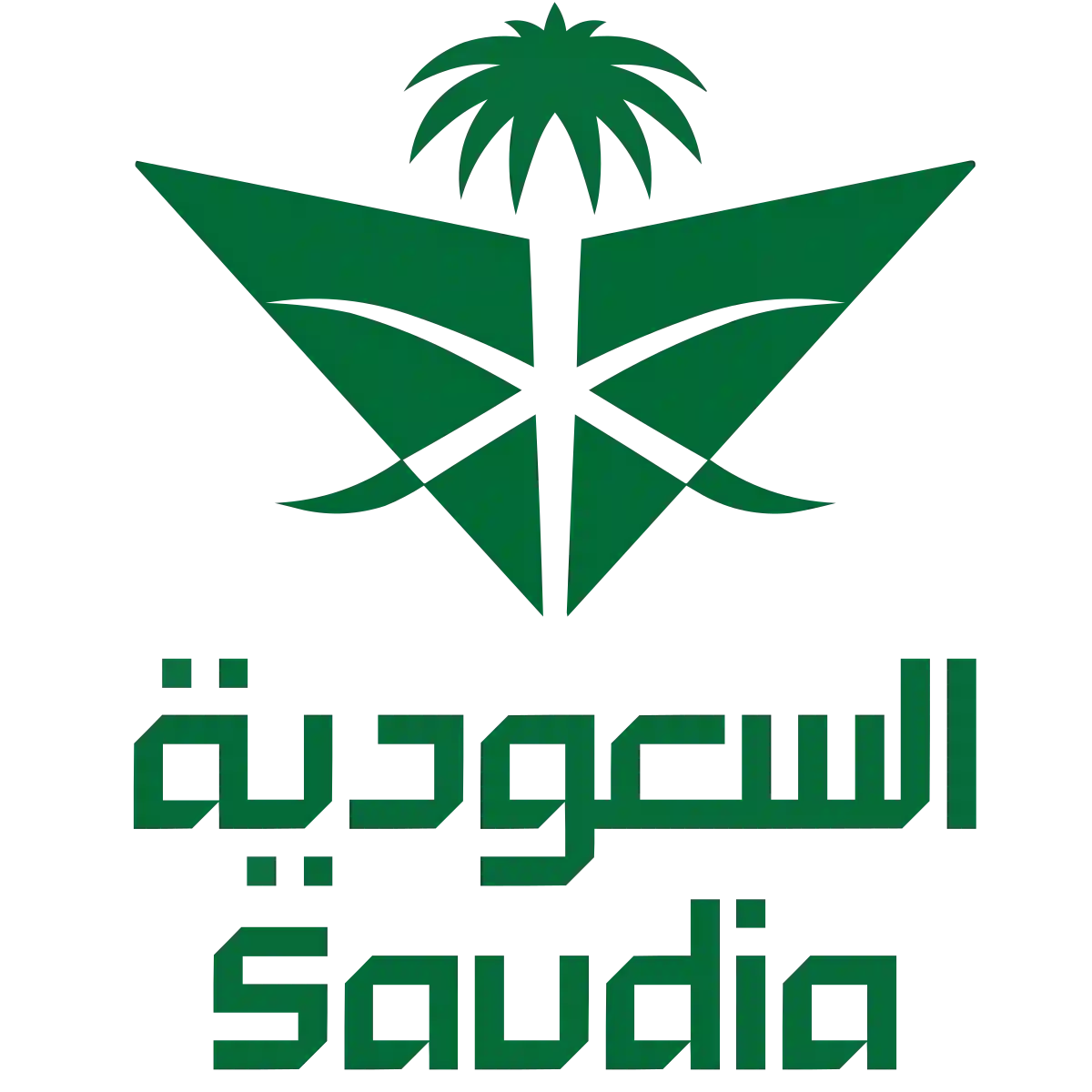شركة الخطوط الجوية السعودية 