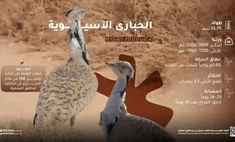 محمية الملك سلمان 