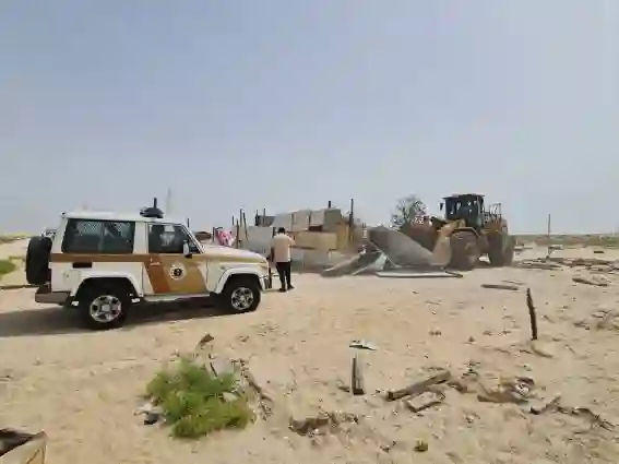 العشوائيات