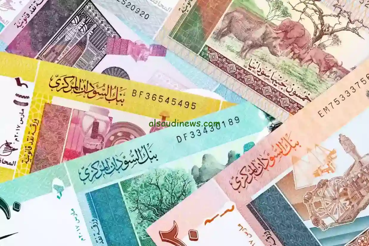 الجنيه السوداني