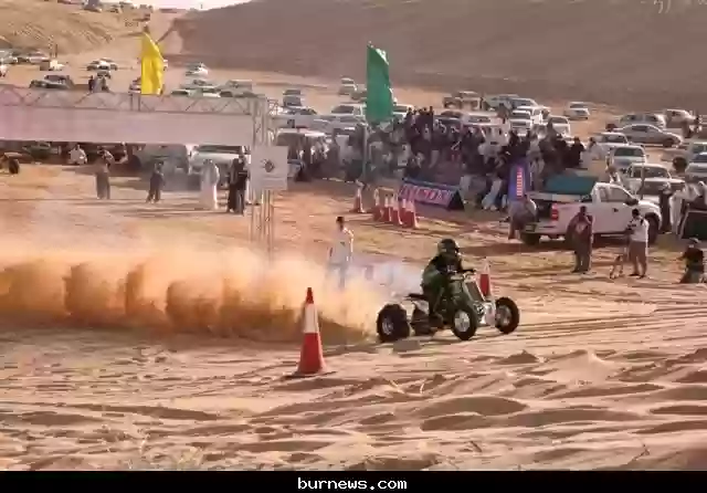 عروق الطرفية
