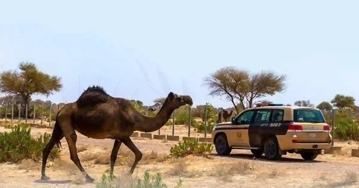 محمية طبيعية