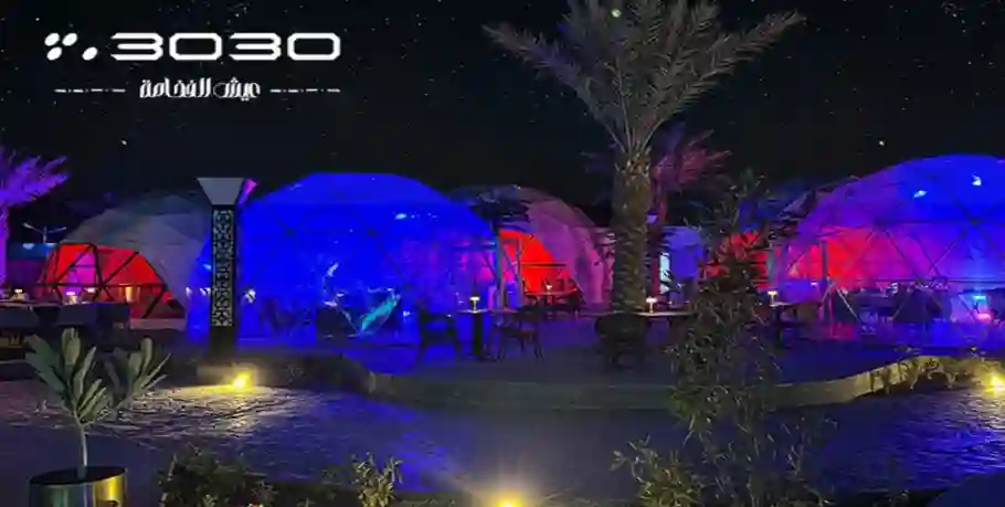 فاعلية ٣٠٣٠ بالرياض 