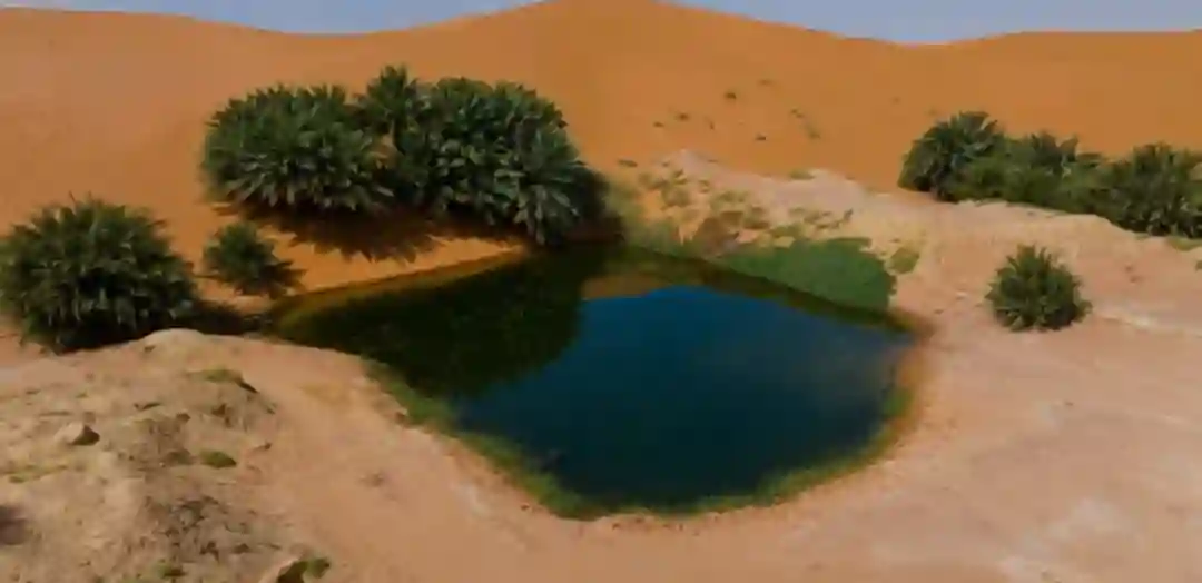 شمال الرياض