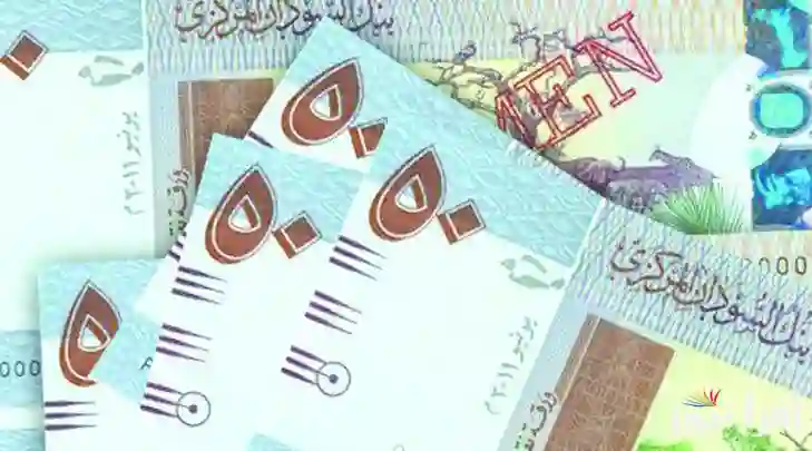 الجنيه السوداني 