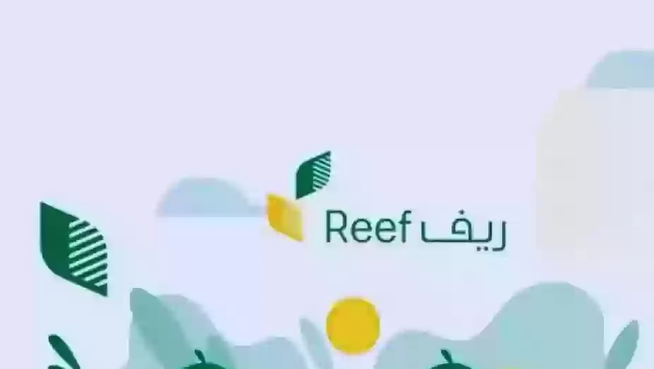تعرف على موعد صرف دعم ريف لشهر ديسمبر