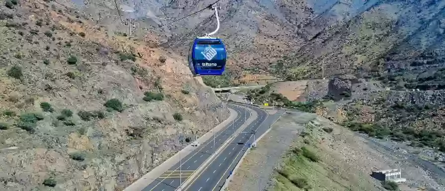 حي نخب الطائف
