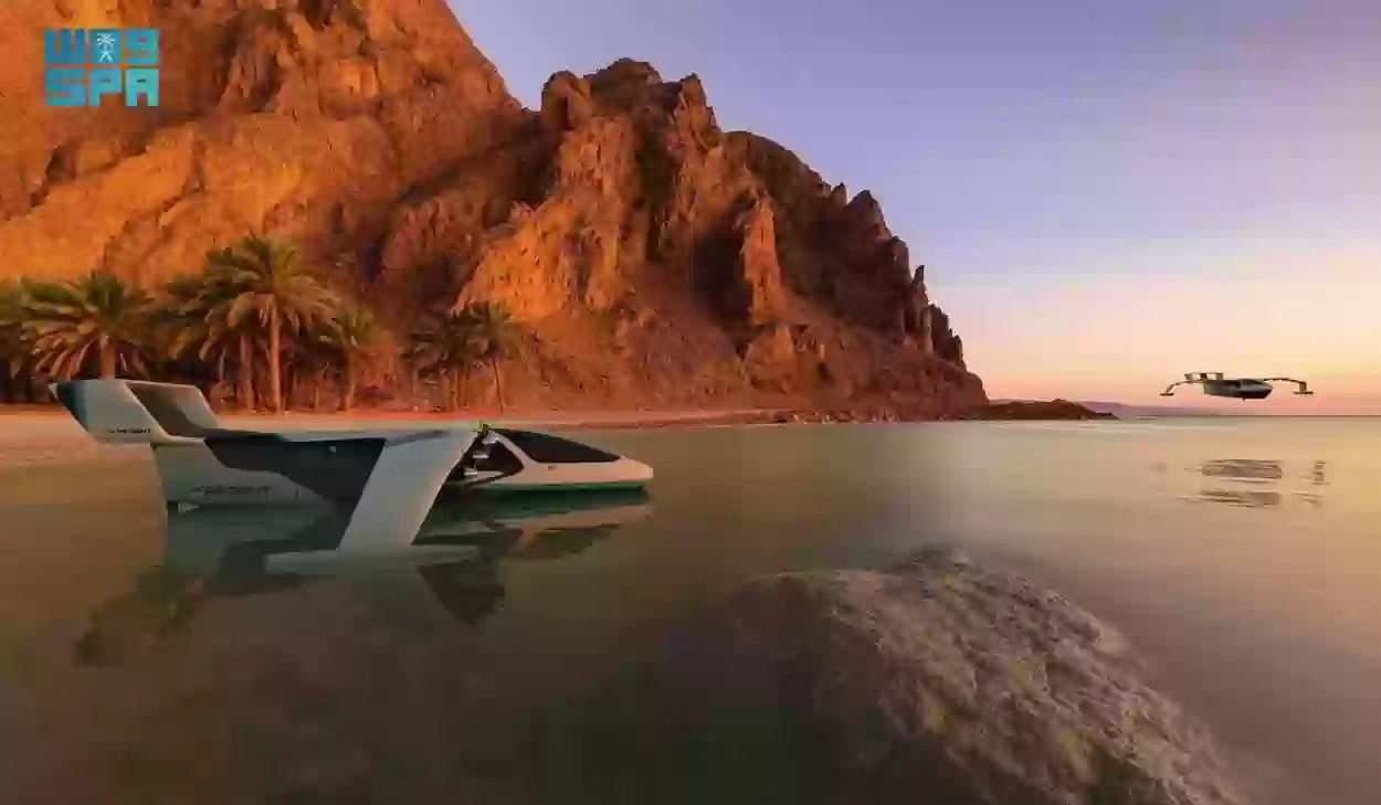 نيوم