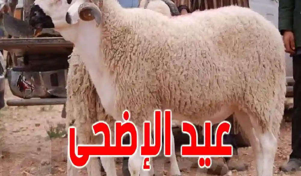 السعودية تحسم الجدل وتعلن موعد عيد الأضحى 1446هـ