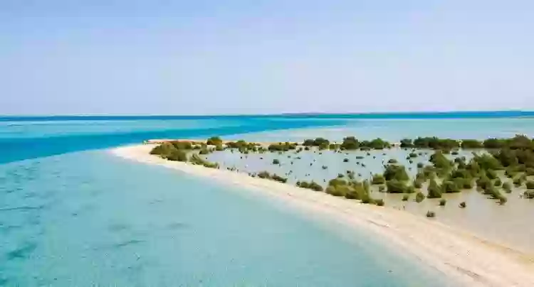 شواطئ السعودية